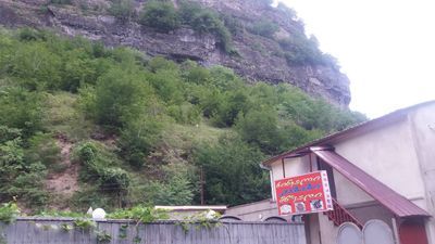 ფიროსმანი_4